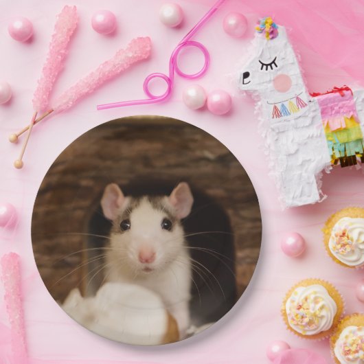Assiettes En Carton Rat mignon (Fête)