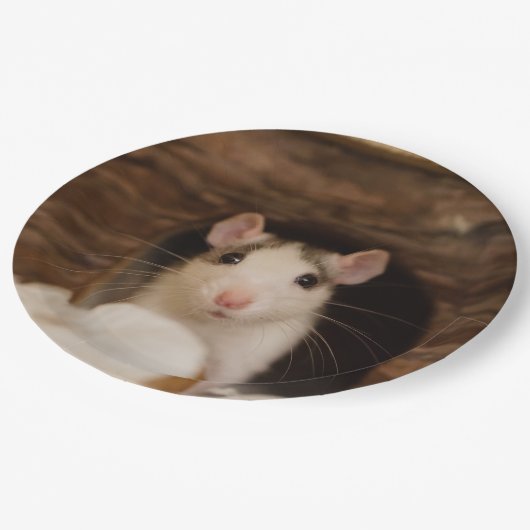 Assiettes En Carton Rat mignon (Angle)