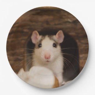 Assiettes En Carton Rat mignon