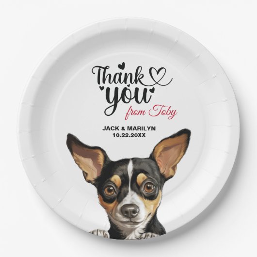 Assiettes En Carton Rat Terrier (Devant)