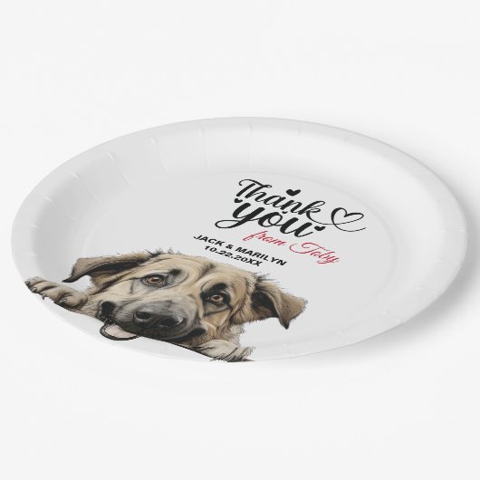 Assiettes En Carton Réception de mariage des bergers anatoliens (Angle)