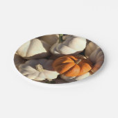 Assiettes En Carton Récolte de citrouille de dîner de thanksgiving (Angle)