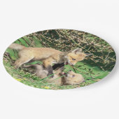 Assiettes En Carton Red Fox Kits Jouer (Angle)