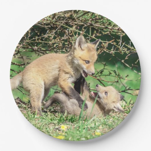Assiettes En Carton Red Fox Kits Jouer (Devant)