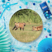 Assiettes En Carton Red Fox Kits Jouer (Fête)