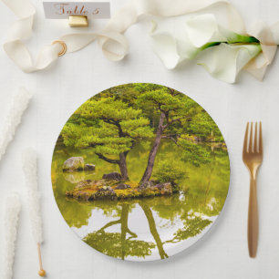 Assiettes En Carton Réflexions