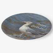 Assiettes En Carton Regarder la mouette fixement (Angle)