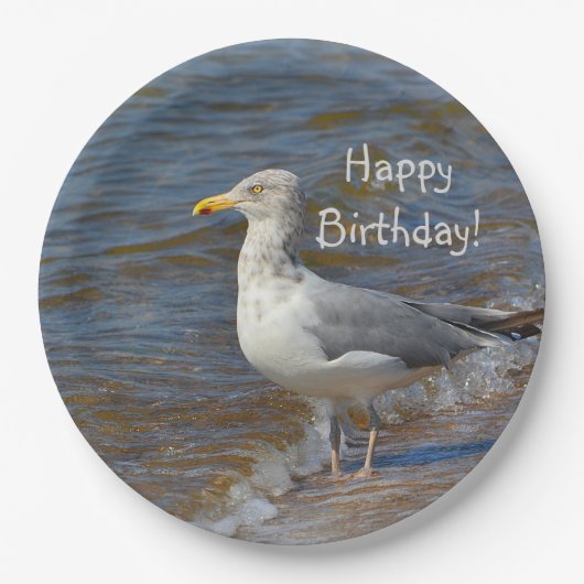 Assiettes En Carton Regarder la mouette fixement (Devant)