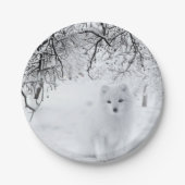 Assiettes En Carton Renard des neiges dans les bois d'hiver (Devant)