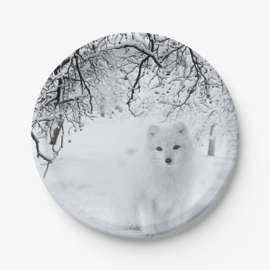 Assiettes En Carton Renard des neiges dans les bois d'hiver (Devant)