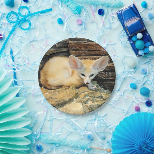 Assiettes En Carton Renard mignon de fennec (Fête)