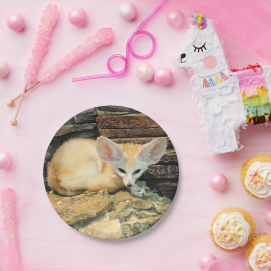 Assiettes En Carton Renard mignon de fennec (Fête)