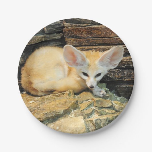 Assiettes En Carton Renard mignon de fennec (Devant)