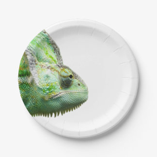 Assiettes En Carton Reptile exotique