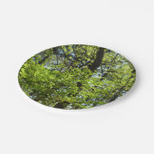 Assiettes En Carton Ressource Feuille (Angle)