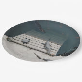 Assiettes En Carton Revêtements (Angle)