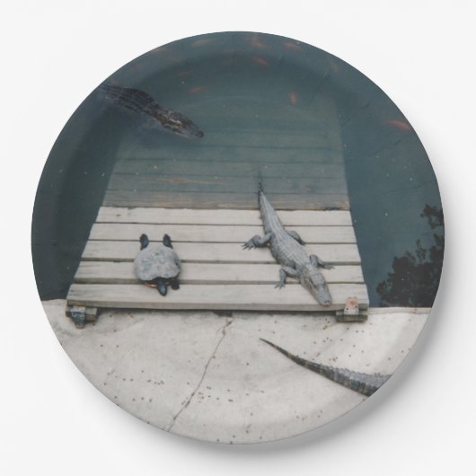 Assiettes En Carton Revêtements (Devant)