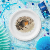 ASSIETTES EN CARTON ROBIN (Fête)