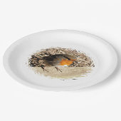 ASSIETTES EN CARTON ROBIN (Angle)