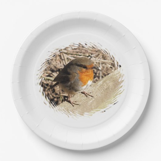 ASSIETTES EN CARTON ROBIN (Devant)