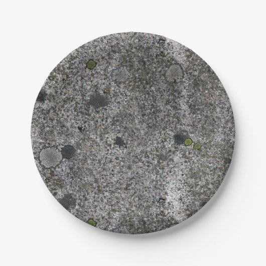 Assiettes En Carton Roche de granit (Devant)