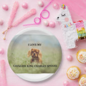 Assiettes En Carton rocher ruby love w pic (Fête)