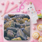 Assiettes En Carton Rochers colorés (Fête)