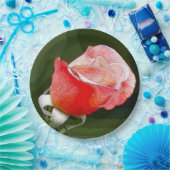 Assiettes En Carton Rose20151202 (Fête)