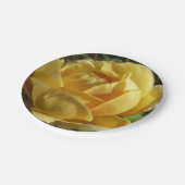 Assiettes En Carton Rose anglaise jaune (Angle)