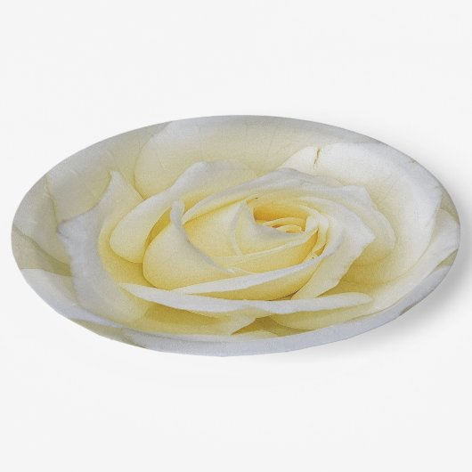 Assiettes En Carton Rose blanc et jaune (Angle)