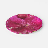 Assiettes En Carton rose, blanc, fleur d'orchidée, nature, été, jardin (Angle)