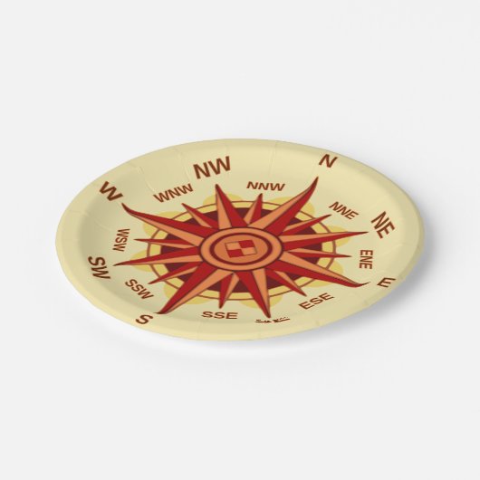 Assiettes En Carton Rose Compass (Angle)