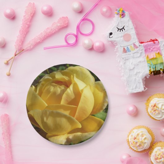 Assiettes En Carton Rose d'Angleterre (Fête)