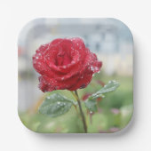 Assiettes En Carton Rose en gouttes de pluie (Recto)