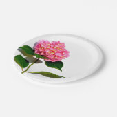 Assiettes En Carton Rose Hydrangea rose fleur rose rose floral (Angle)