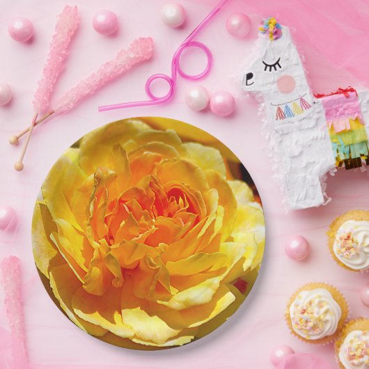 Assiettes En Carton rose jaune simple (Fête)