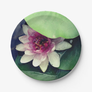 Assiettes En Carton Rose, Lilly d'eau blanche, Plate de papier de fleu