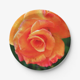 Assiettes En Carton Rose orange