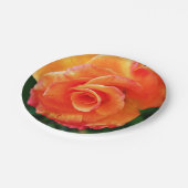 Assiettes En Carton Rose orange (Angle)