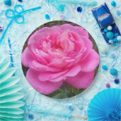 Assiettes En Carton Rose romantique 'Léonard de Vinci' (Fête)