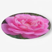 Assiettes En Carton Rose romantique 'Léonard de Vinci' (Angle)