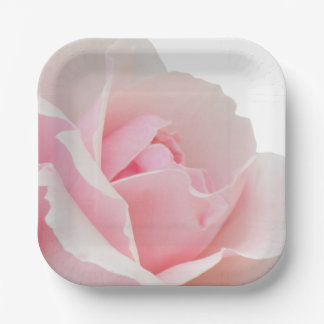 Assiettes En Carton Rose rose