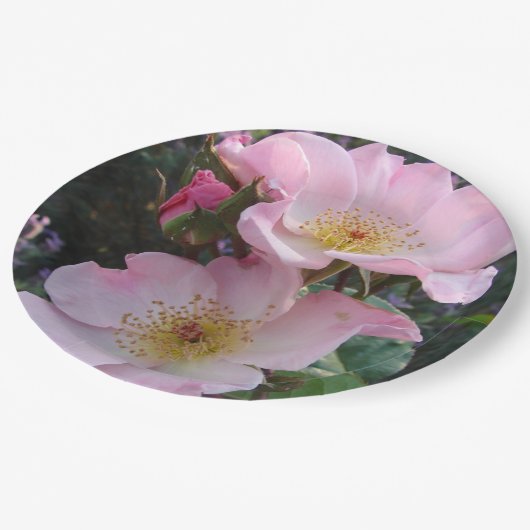 Assiettes En Carton Rose rose Fleur Motif papier plaque (Angle)