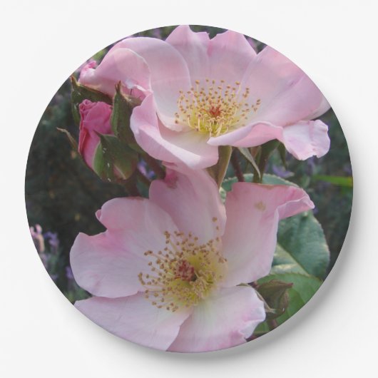 Assiettes En Carton Rose rose Fleur Motif  papier plaque (Devant)