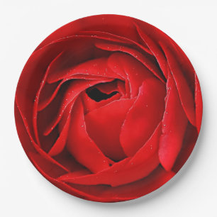 ASSIETTES EN CARTON ROSE ROUGE