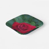 Assiettes En Carton Rose rouge proche (Angulaire)