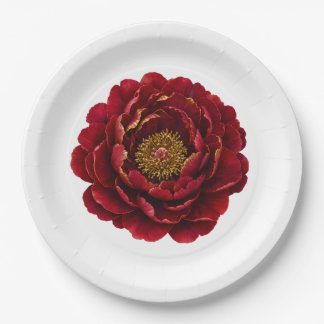 Assiettes En Carton Royal Persian Gold Filigree | Botanique Luxe