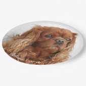 Assiettes En Carton Ruby Cavalier King Charles Spaniel (Angle)