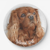 Assiettes En Carton Ruby Cavalier King Charles Spaniel (Devant)