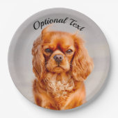 Assiettes En Carton Ruby Cavalier King Charles Spaniel (Devant)